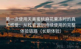 第一次使用天美蜜桃麻花果冻时的真实感受：从找资源到持续使用的完整体验链路（长期体验）