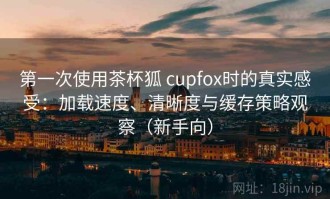 第一次使用茶杯狐 cupfox时的真实感受：加载速度、清晰度与缓存策略观察（新手向）