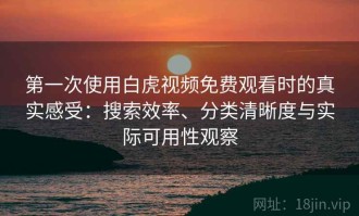 第一次使用白虎视频免费观看时的真实感受：搜索效率、分类清晰度与实际可用性观察