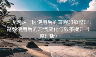 白虎网站一区使用后的直观印象整理：高频使用后的习惯变化与效率提升（整理版）