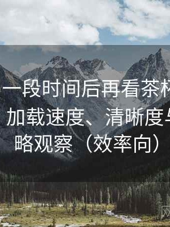 连续使用一段时间后再看茶杯狐foxcup 官网：加载速度、清晰度与缓存策略观察（效率向）