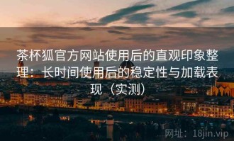 茶杯狐官方网站使用后的直观印象整理：长时间使用后的稳定性与加载表现（实测）