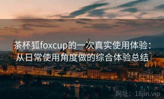 茶杯狐foxcup的一次真实使用体验：从日常使用角度做的综合体验总结