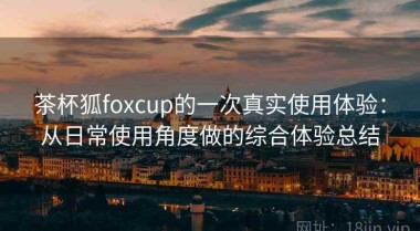 茶杯狐foxcup的一次真实使用体验：从日常使用角度做的综合体验总结