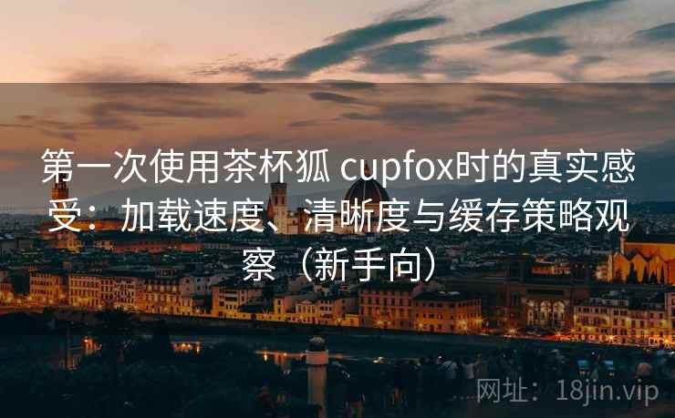 第一次使用茶杯狐 cupfox时的真实感受：加载速度、清晰度与缓存策略观察（新手向）