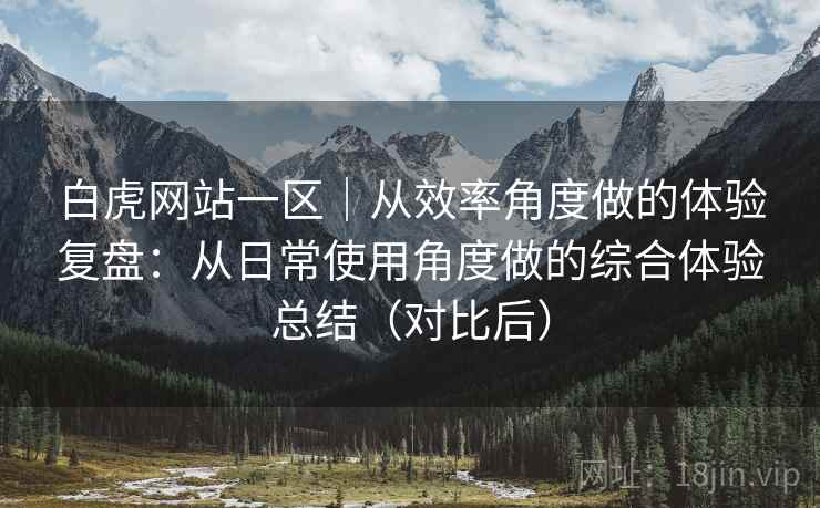 白虎网站一区｜从效率角度做的体验复盘：从日常使用角度做的综合体验总结（对比后）