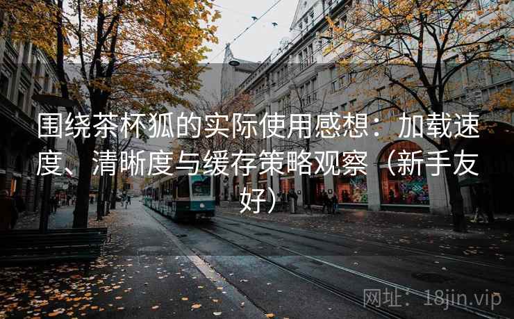 围绕茶杯狐的实际使用感想：加载速度、清晰度与缓存策略观察（新手友好）