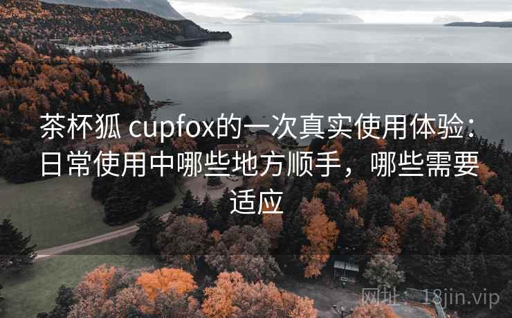 茶杯狐 cupfox的一次真实使用体验：日常使用中哪些地方顺手，哪些需要适应